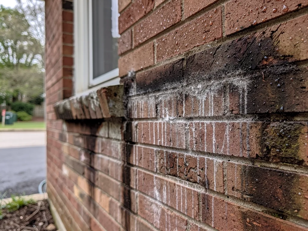 Recognizing a Common Mold Warning Sign in Brick Homes